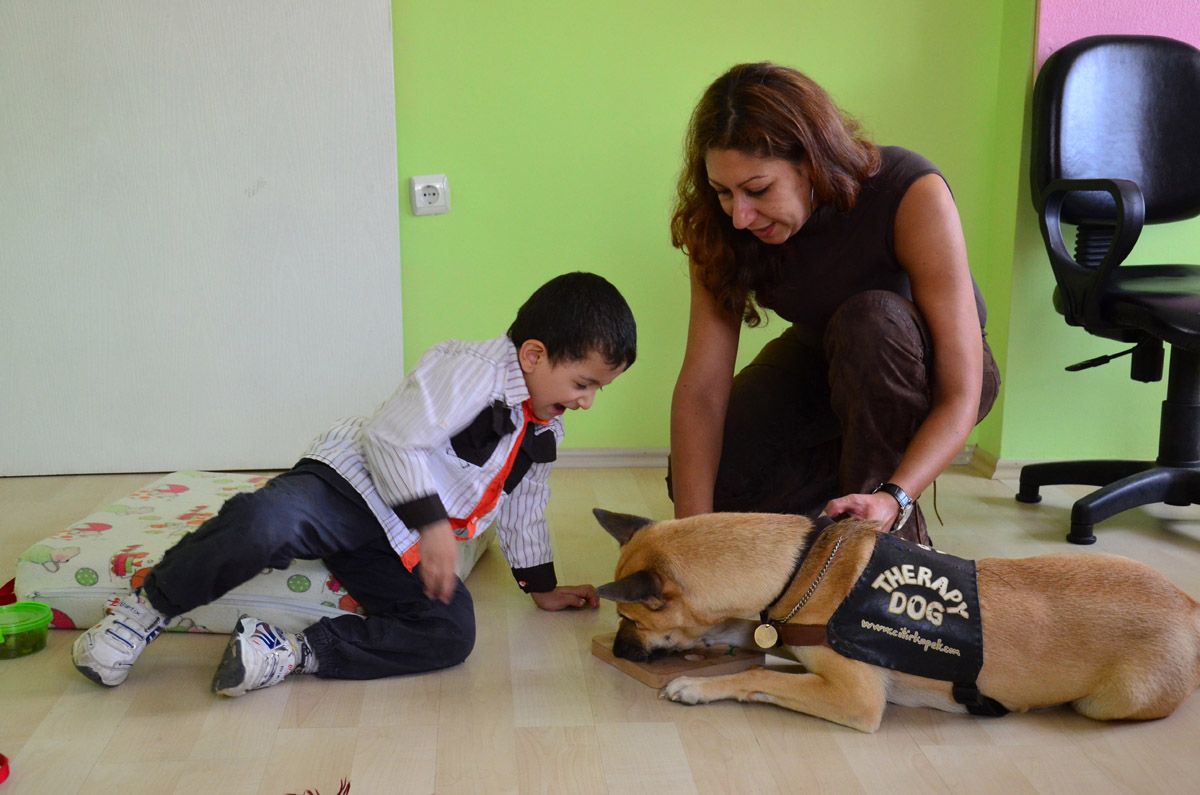Uludağ Ün. Veteriner Fak. Hayvan Destekli Terapi - 10