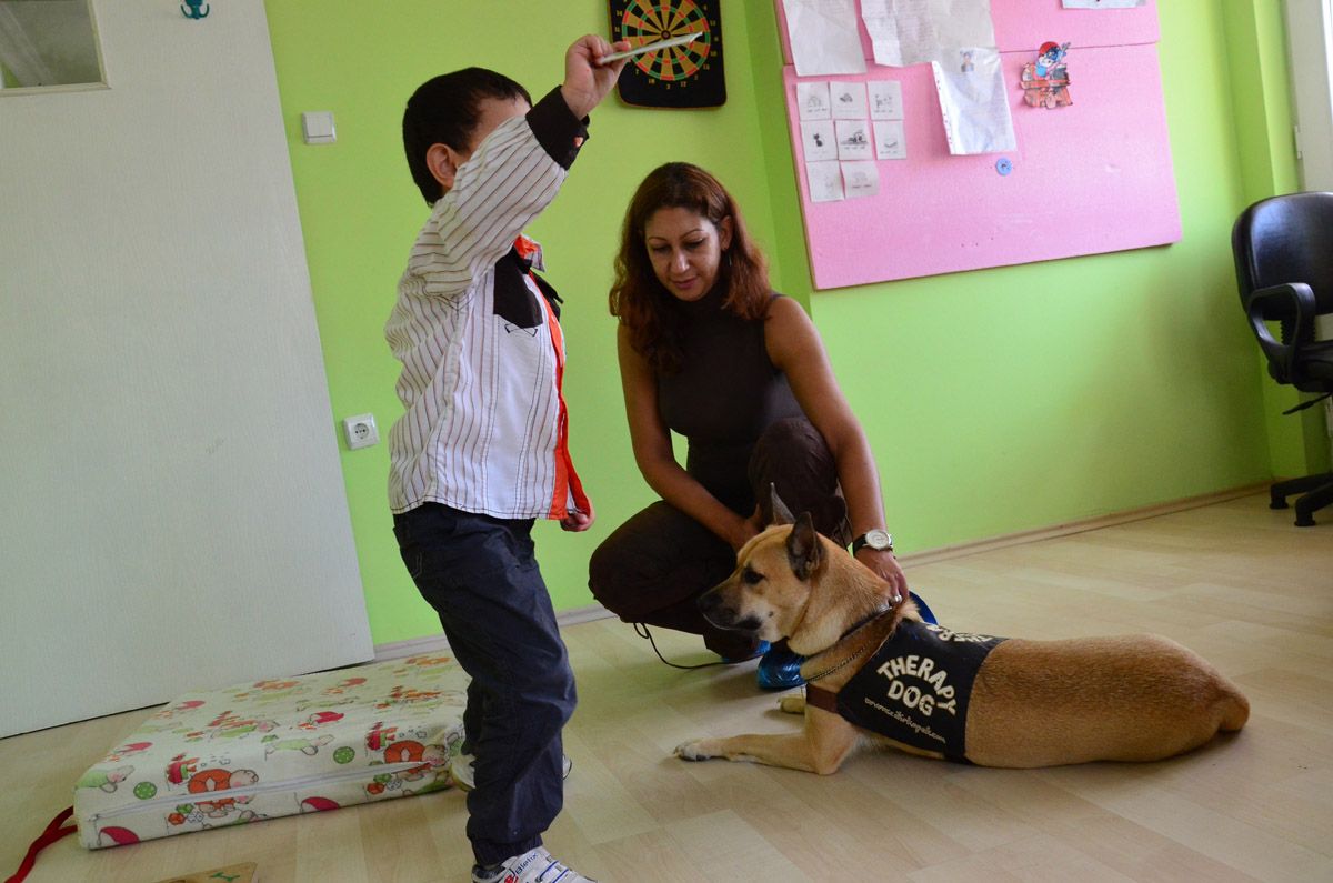 Uludağ Ün. Veteriner Fak. Hayvan Destekli Terapi - 17