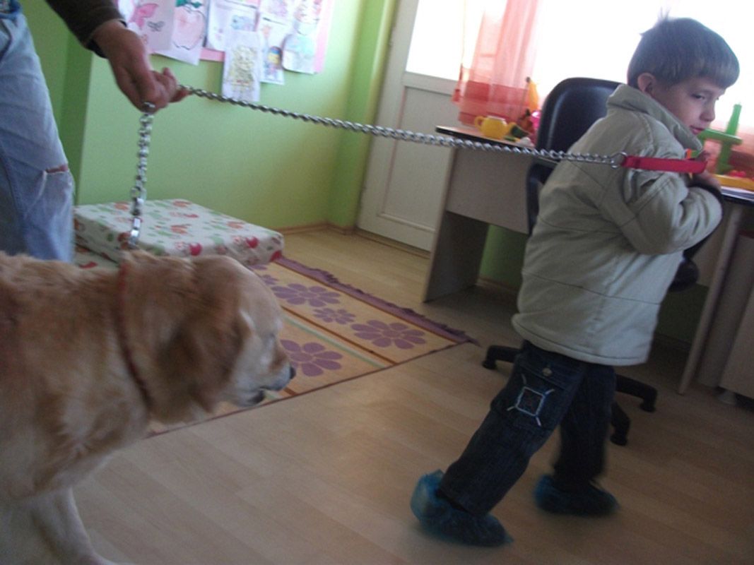 Uludağ Ün. Veteriner Fak. Hayvan Destekli Terapi - 27