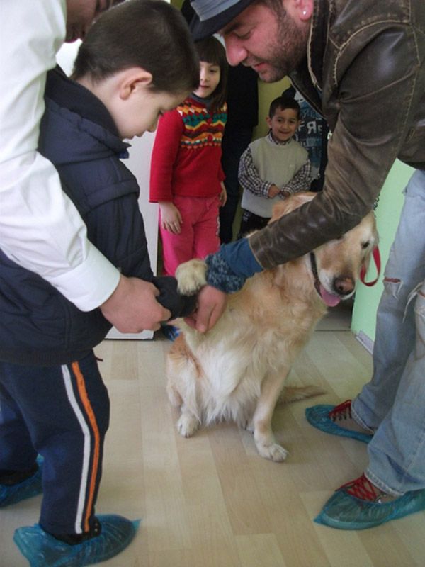 Uludağ Ün. Veteriner Fak. Hayvan Destekli Terapi - 31