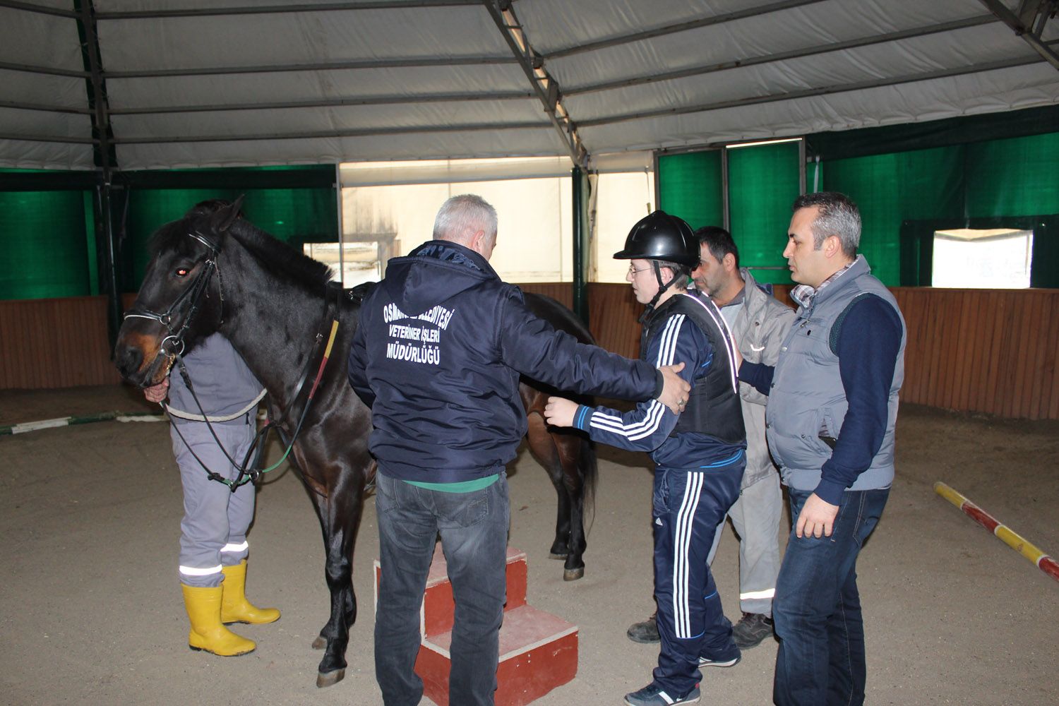 At Biniş Eğitimleri (2016) - 2