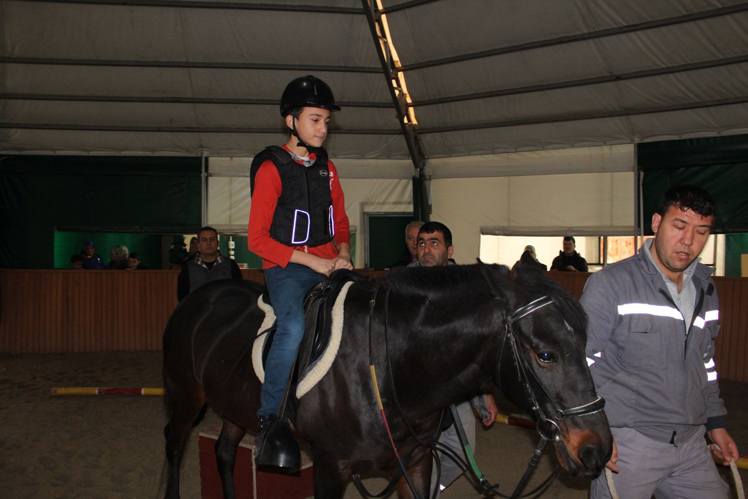 At Biniş Eğitimleri (2016) - 6