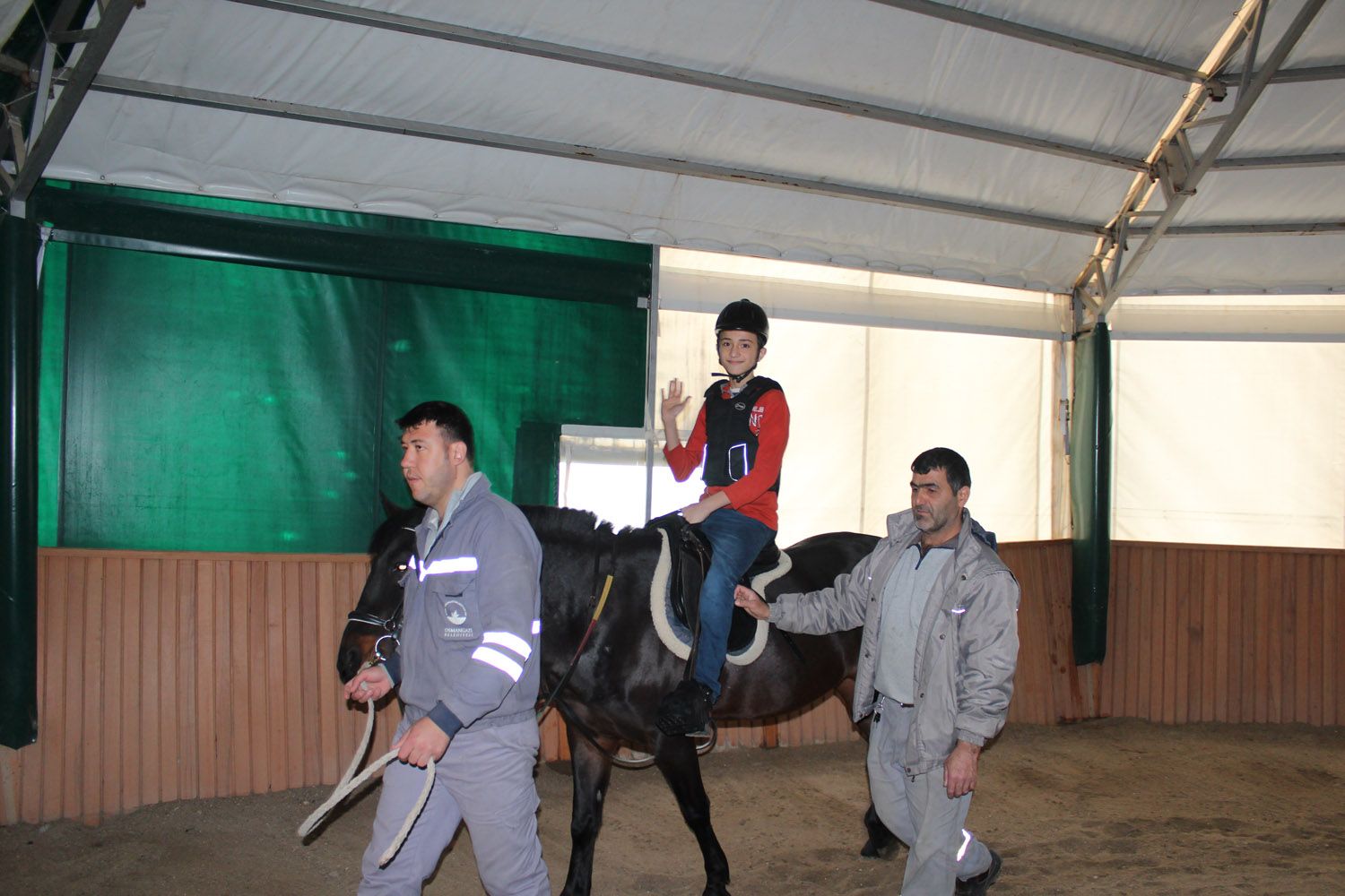 At Biniş Eğitimleri (2016) - 7