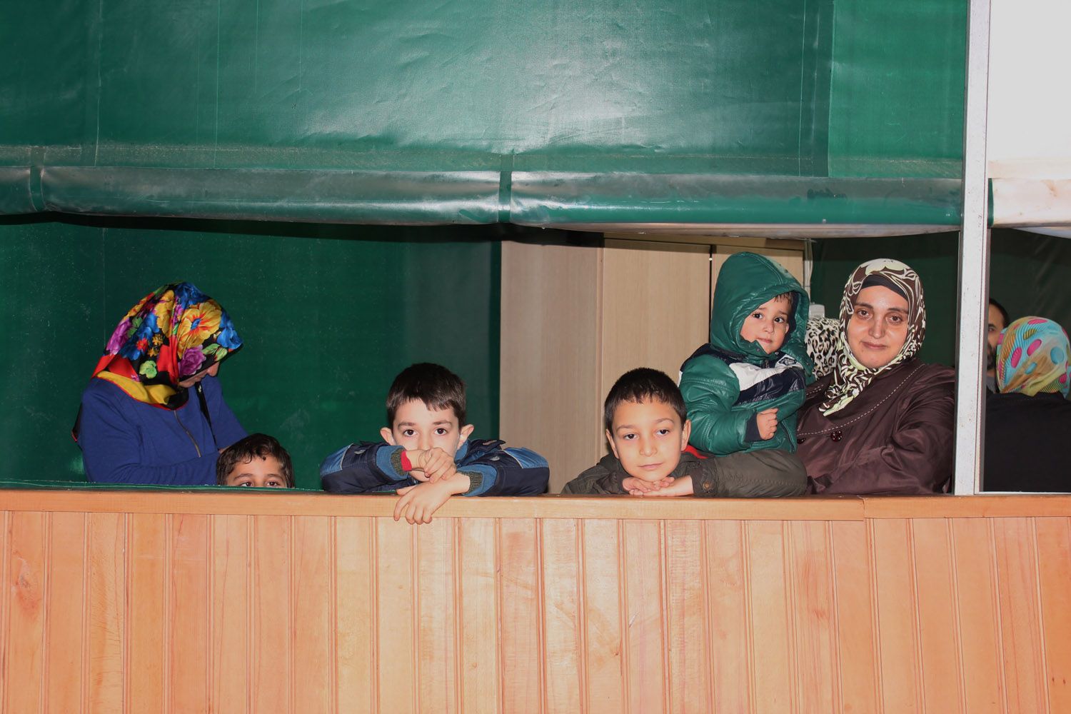 At Biniş Eğitimleri (2016) - 8