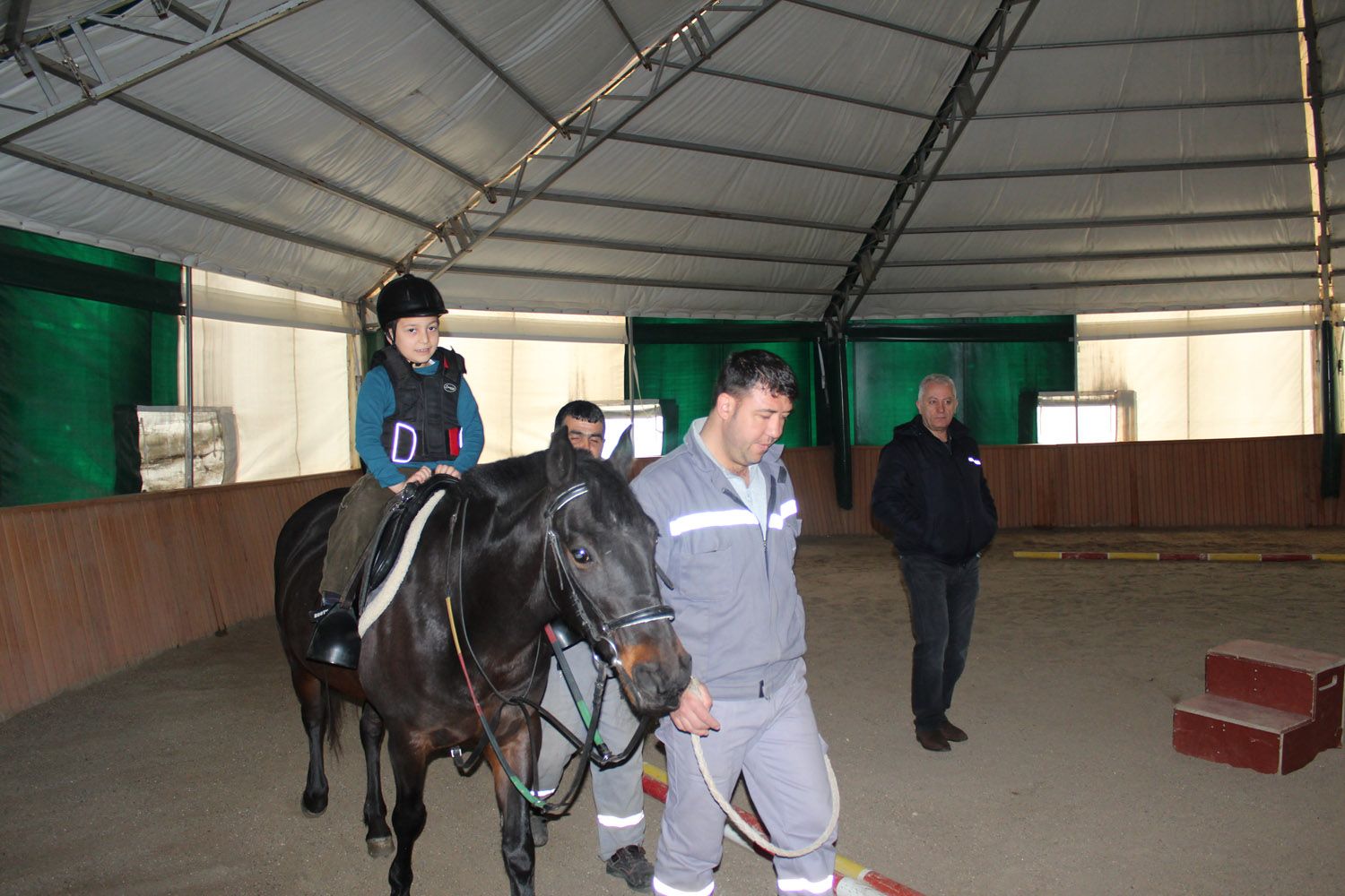 At Biniş Eğitimleri (2016) - 14