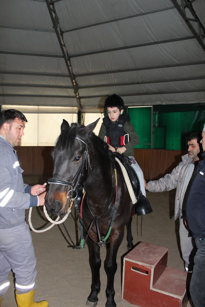 At Biniş Eğitimleri (2016) - 17