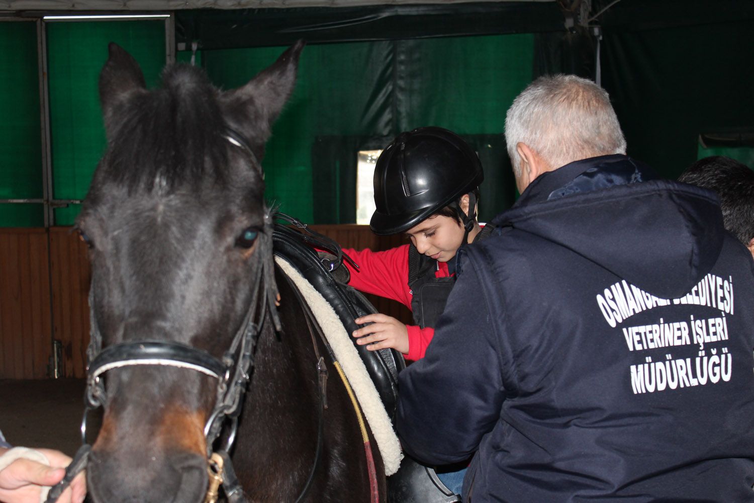 At Biniş Eğitimleri (2016) - 22