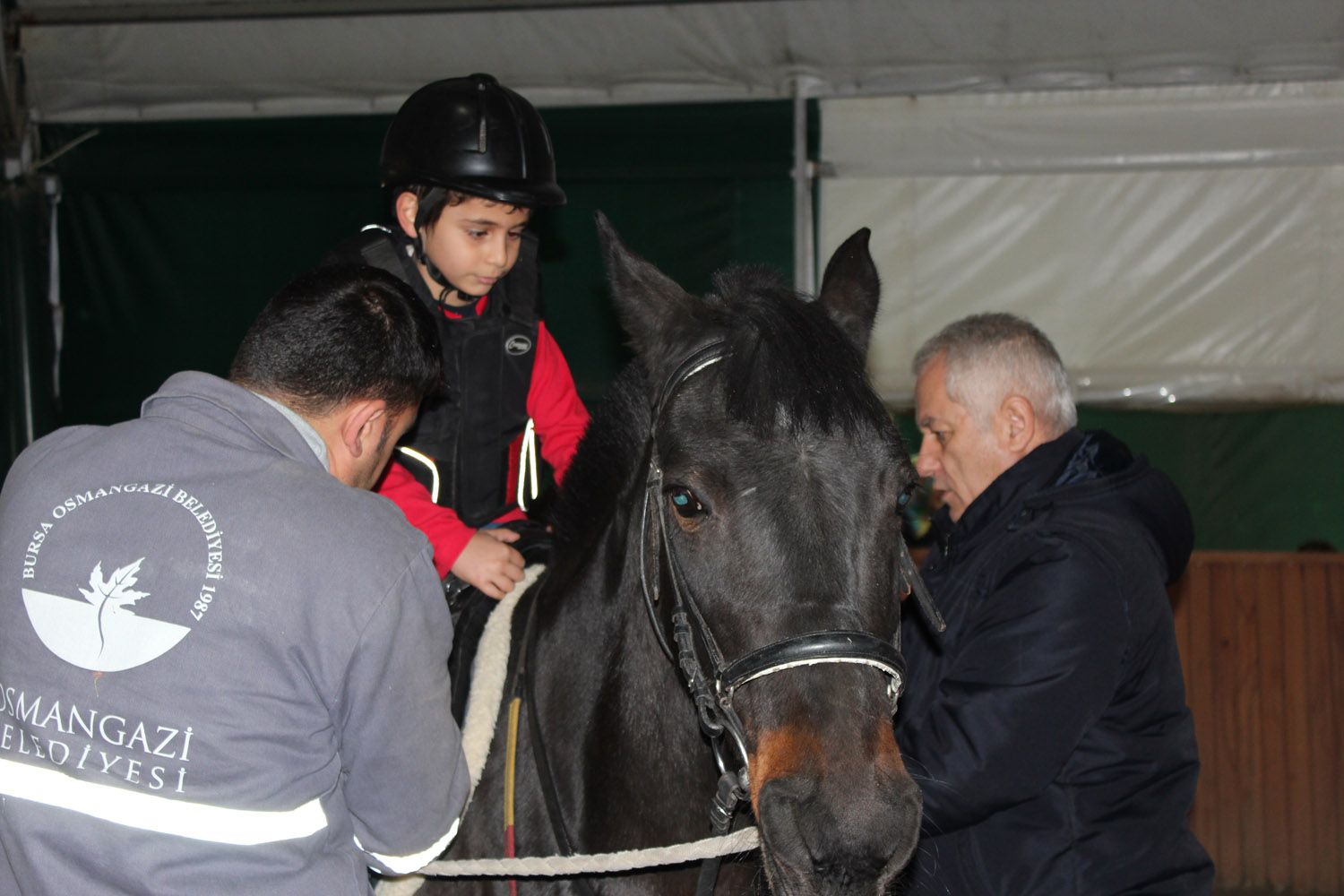 At Biniş Eğitimleri (2016) - 23