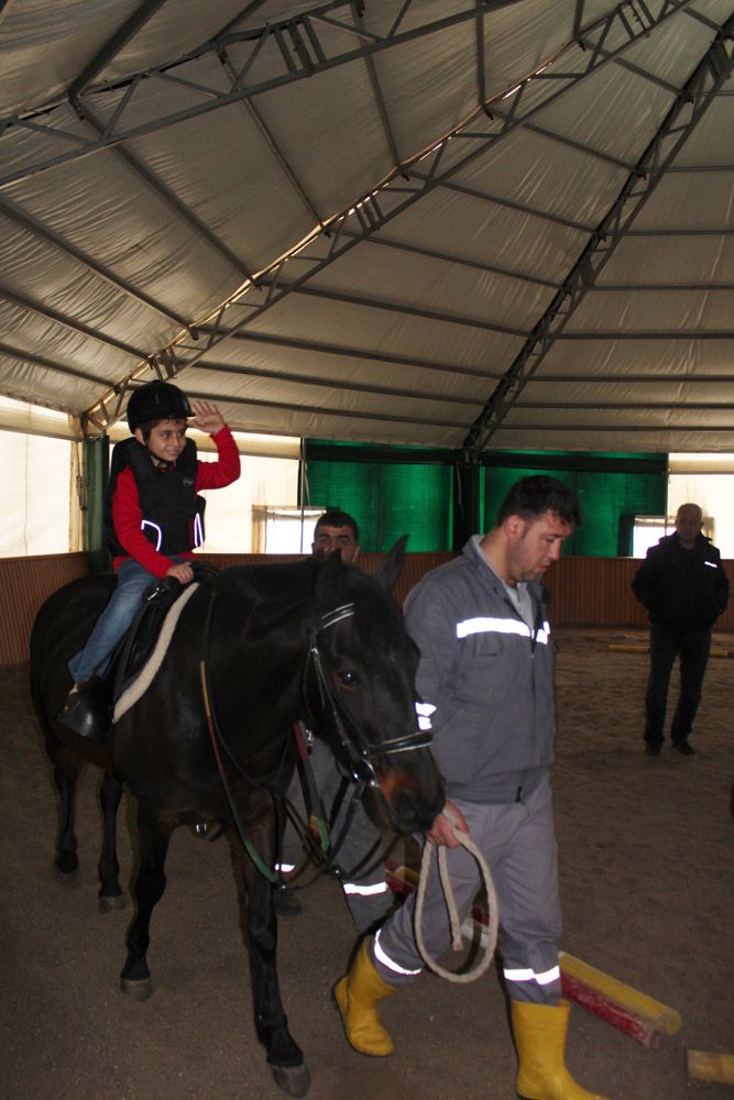 At Biniş Eğitimleri (2016) - 25