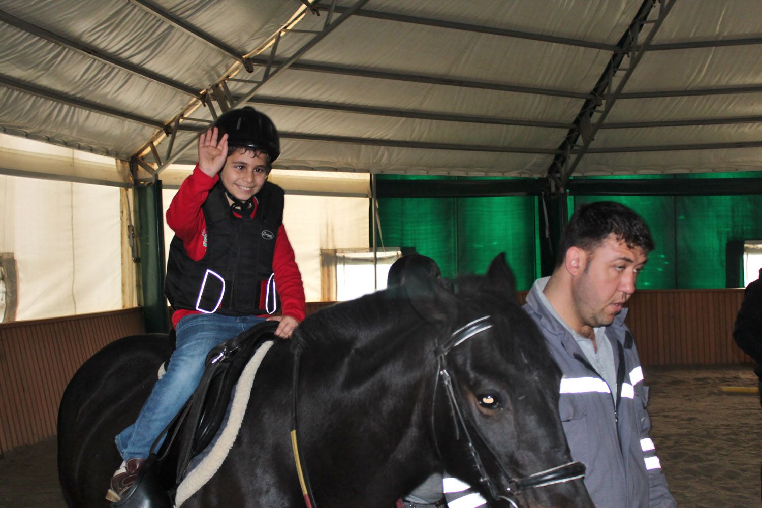 At Biniş Eğitimleri (2016) - 30