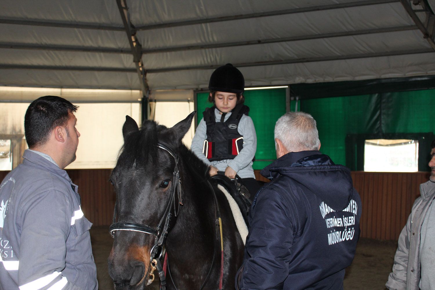 At Biniş Eğitimleri (2016) - 31