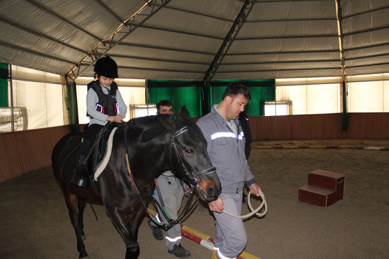 At Biniş Eğitimleri (2016) - 33