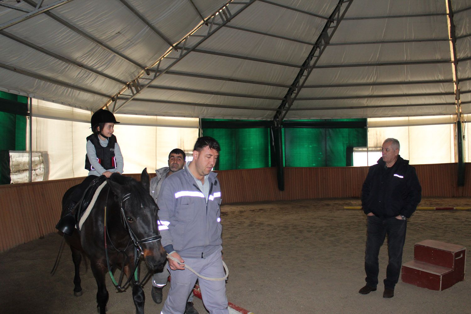 At Biniş Eğitimleri (2016) - 34