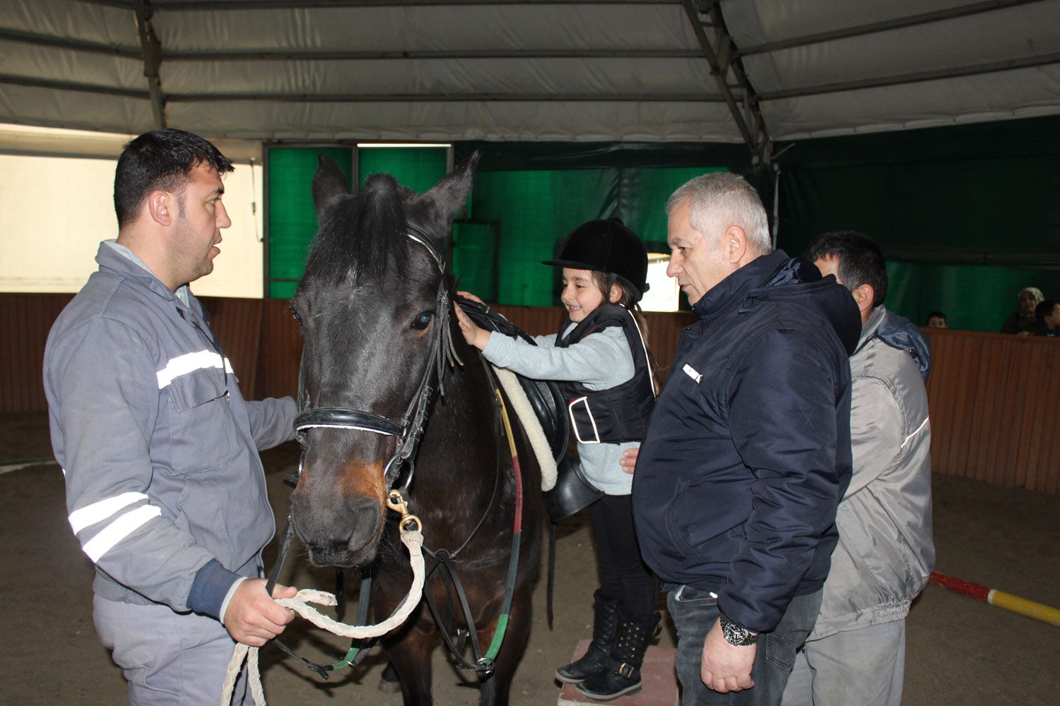 At Biniş Eğitimleri (2016) - 35
