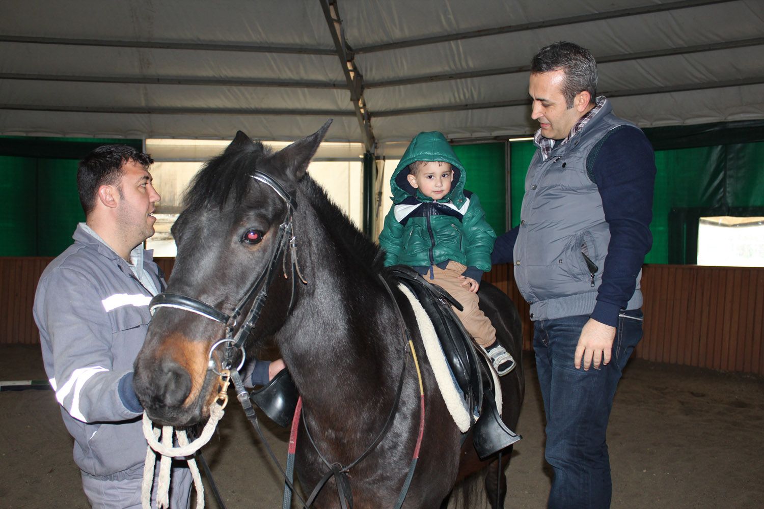 At Biniş Eğitimleri (2016) - 37