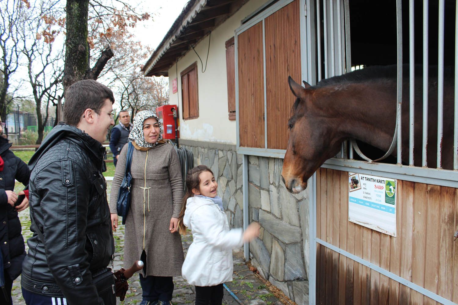At Biniş Eğitimleri (2016) - 38