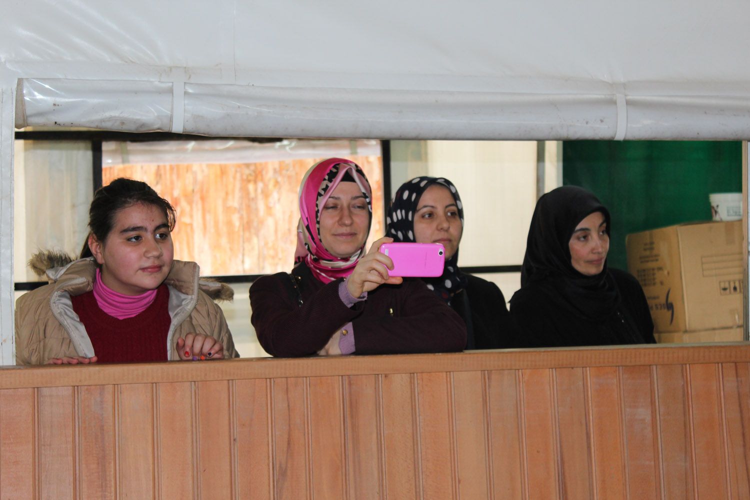 At Biniş Eğitimleri (2016) - 66