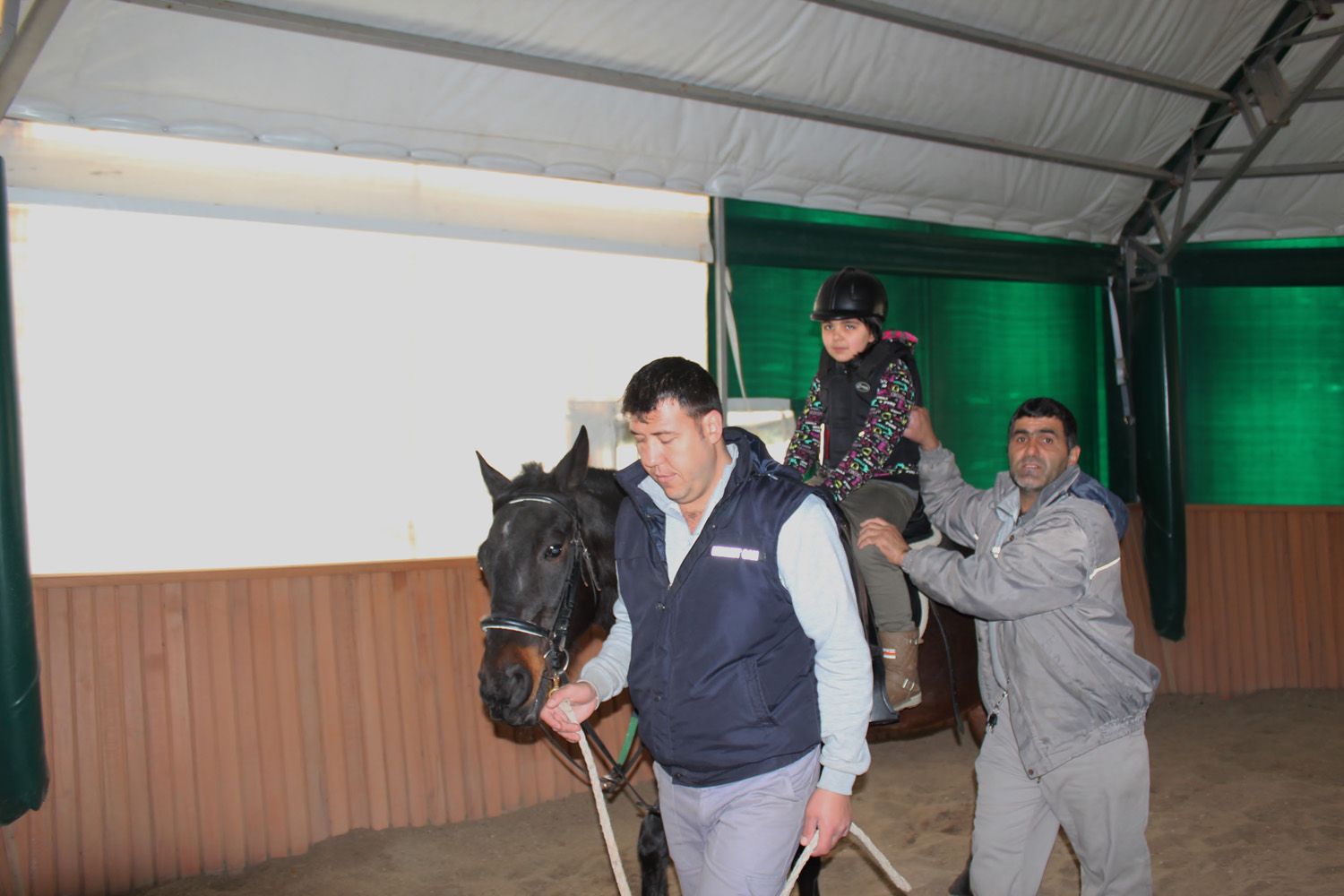 At Biniş Eğitimleri (2016) - 70