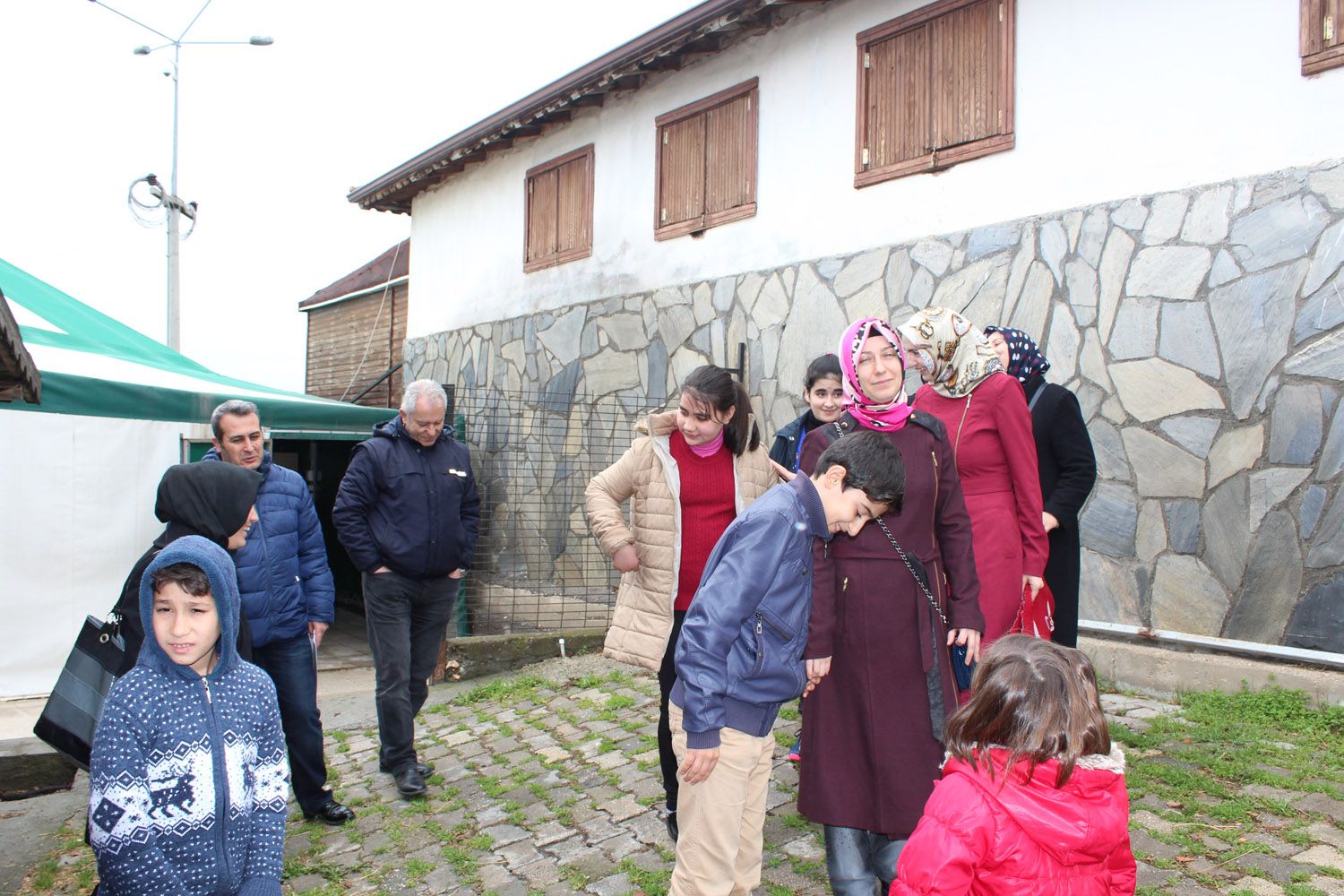 At Biniş Eğitimleri (2016) - 75