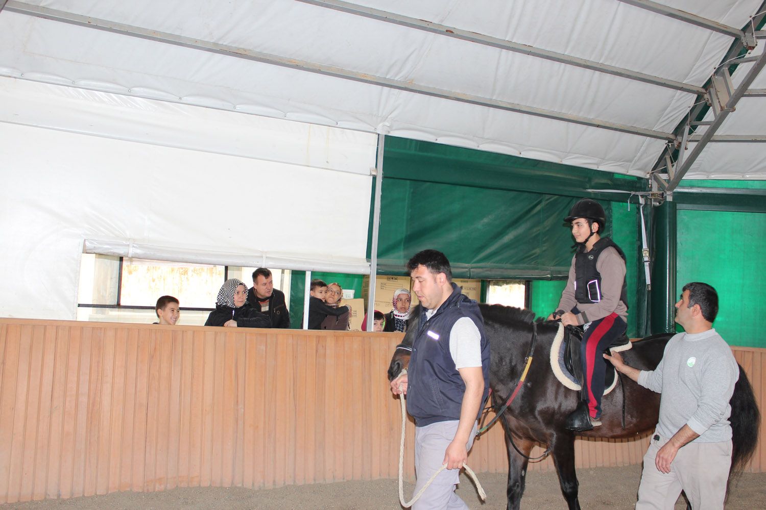 At Biniş Eğitimleri (2016) - 78