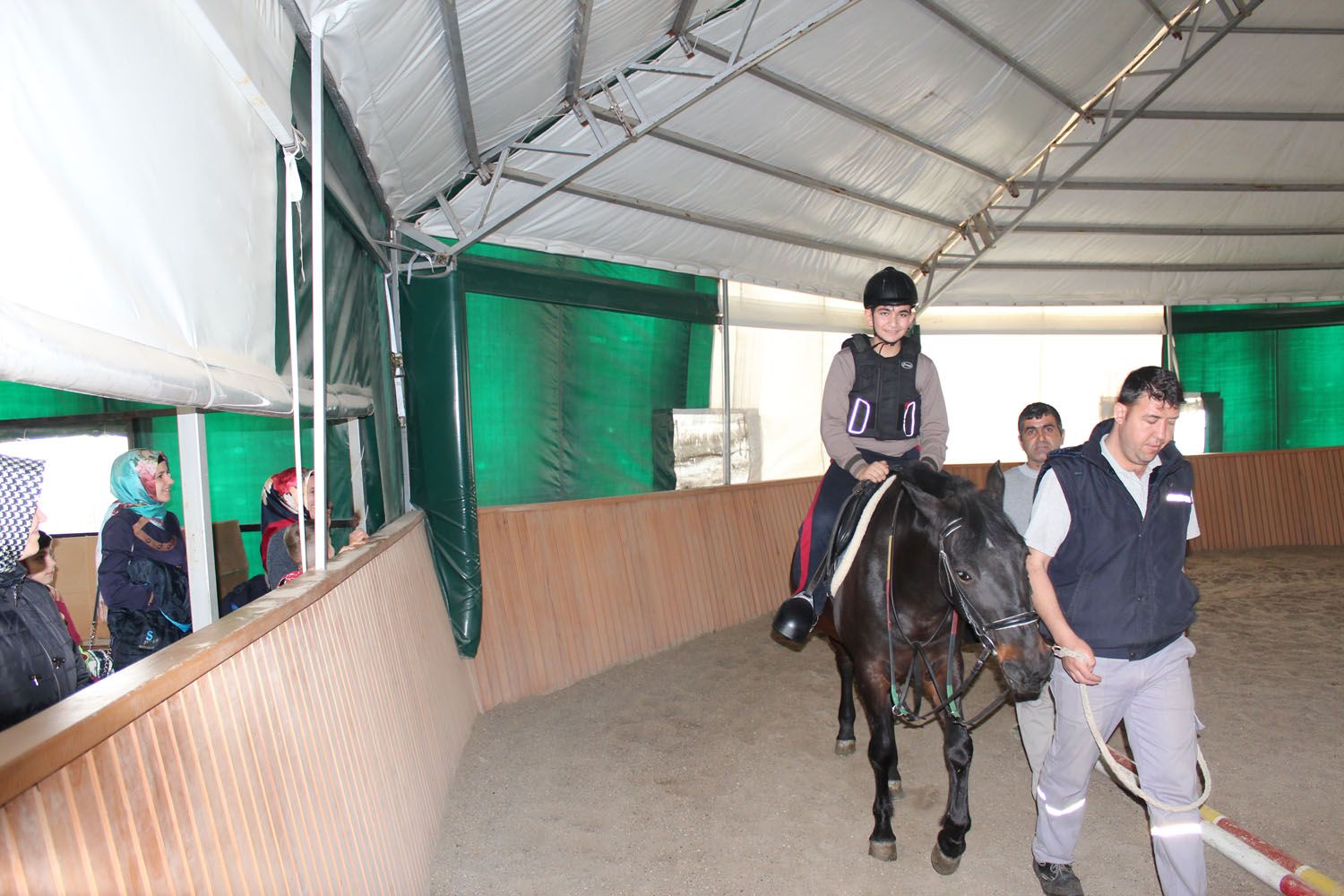 At Biniş Eğitimleri (2016) - 79