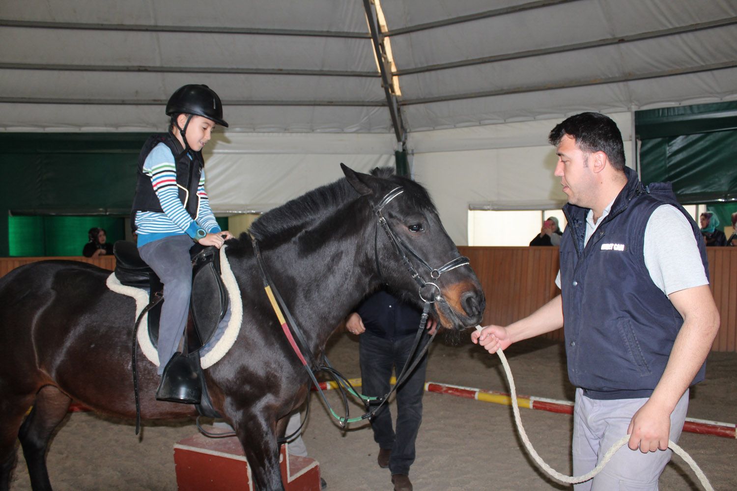 At Biniş Eğitimleri (2016) - 87
