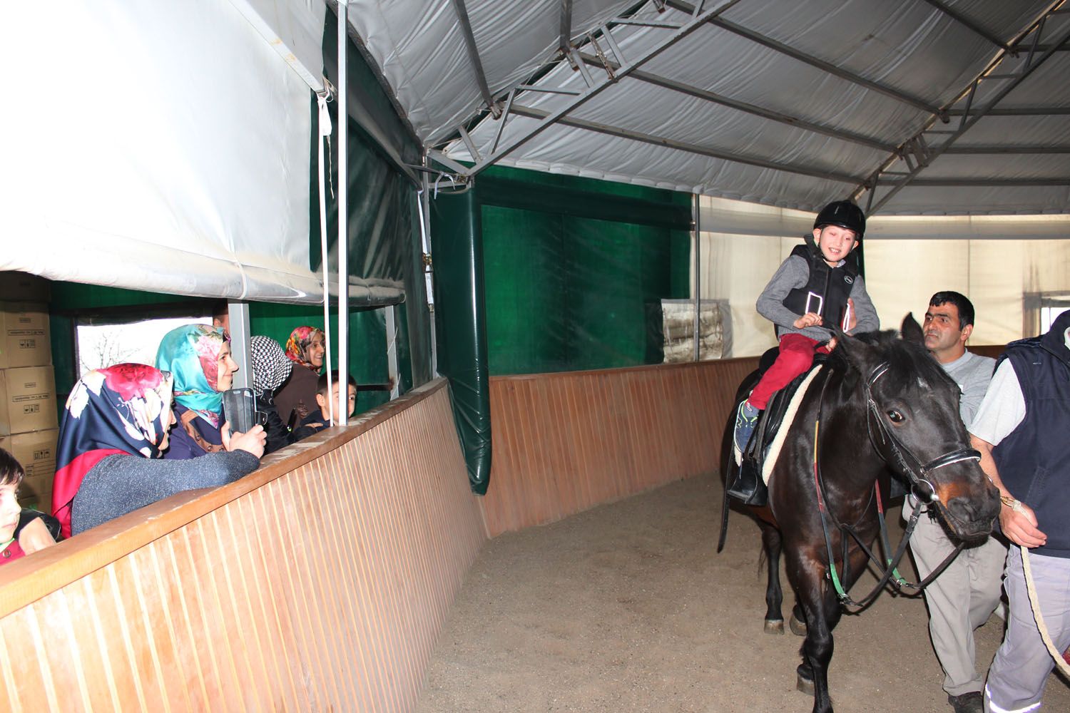 At Biniş Eğitimleri (2016) - 91
