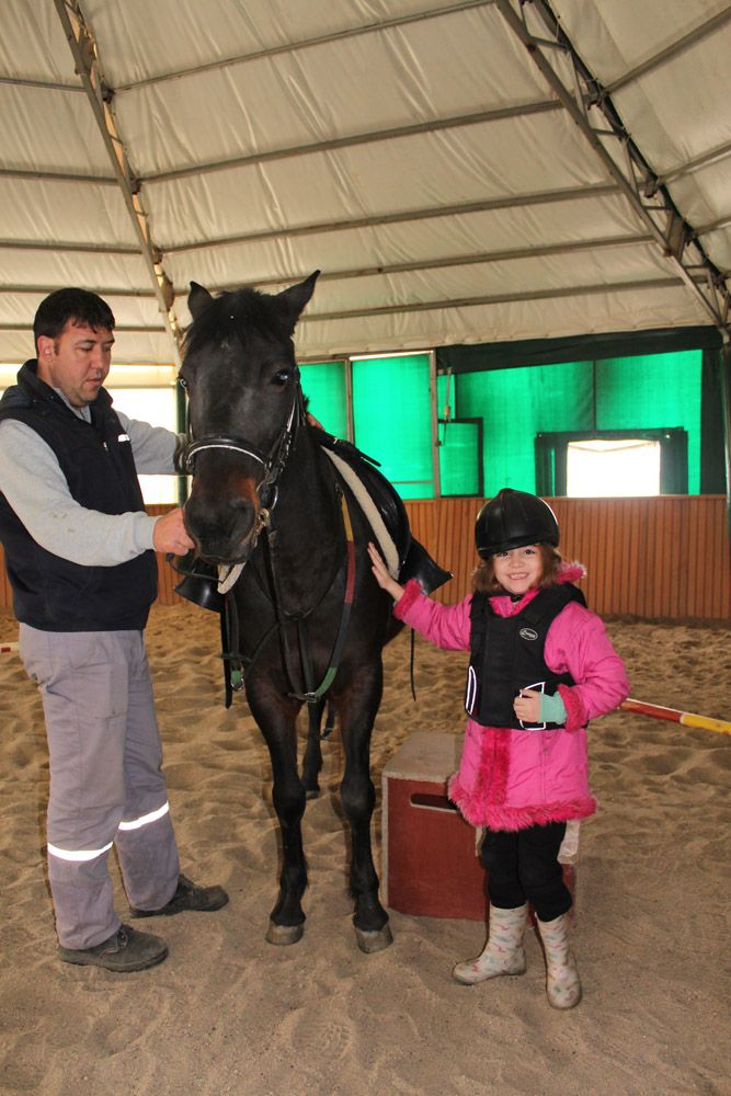 At Biniş Eğitimleri (2016) - 121