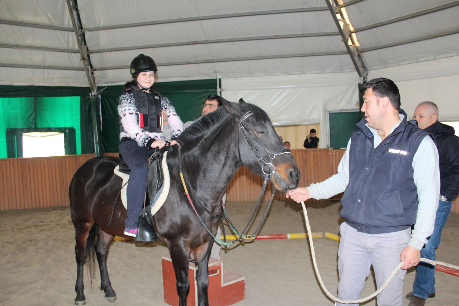 At Biniş Eğitimleri (2016) - 126