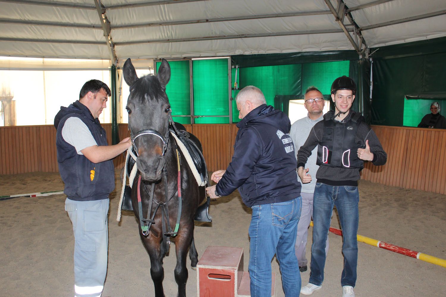 At Biniş Eğitimleri (2016) - 132