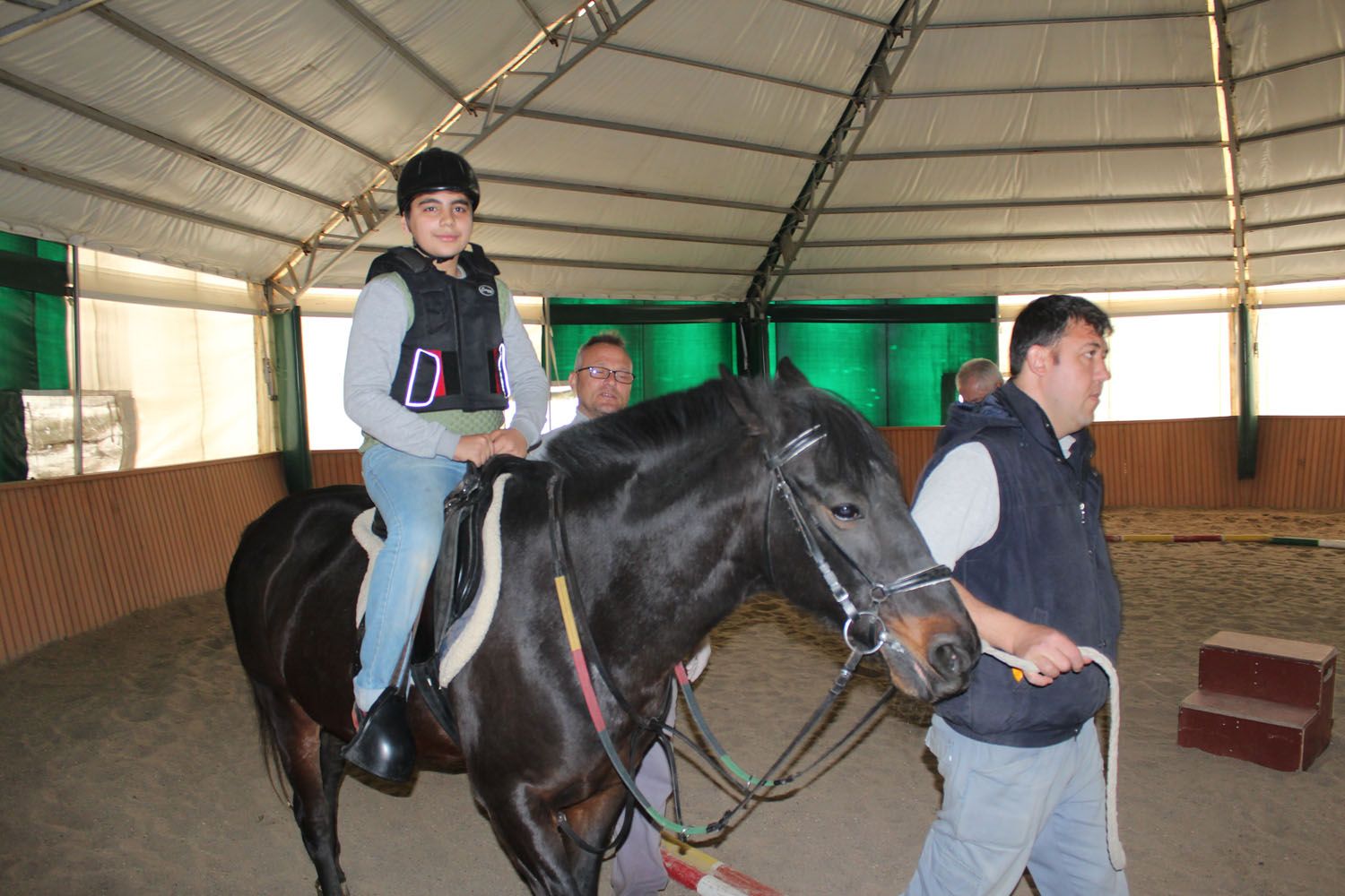 At Biniş Eğitimleri (2016) - 141