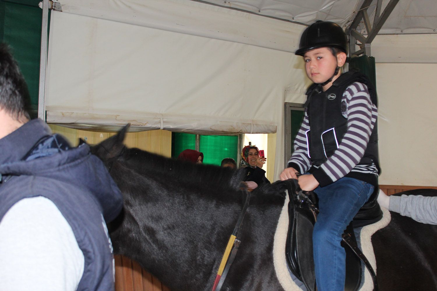 At Biniş Eğitimleri (2016) - 144