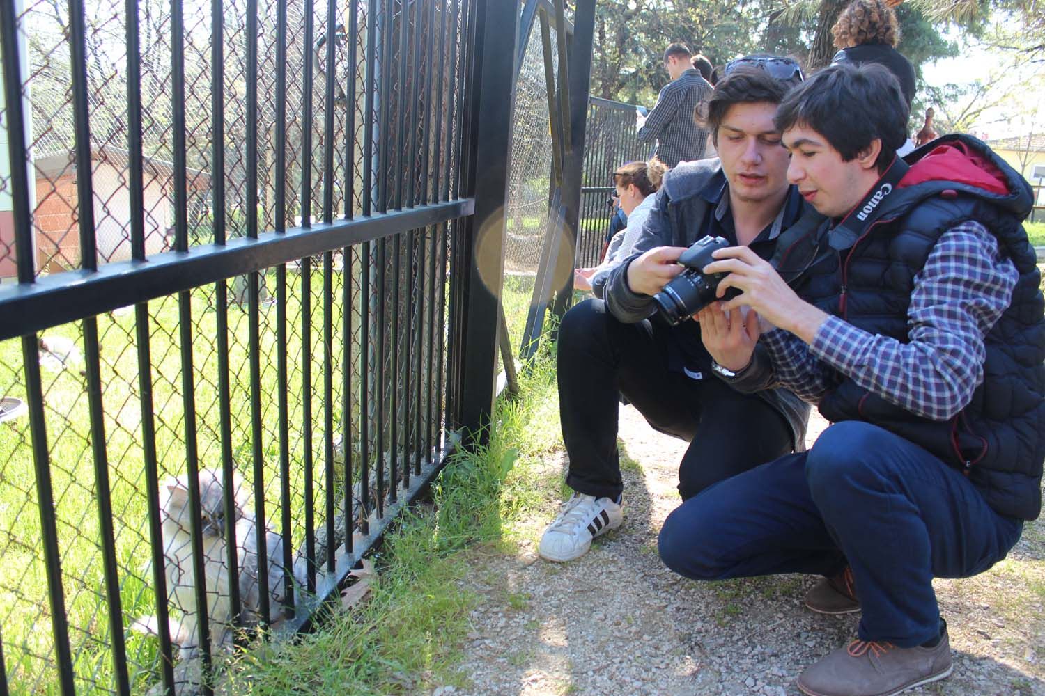 Öğrencilerimizin Fotoğrafçılık Deneyimi (2016) - 8