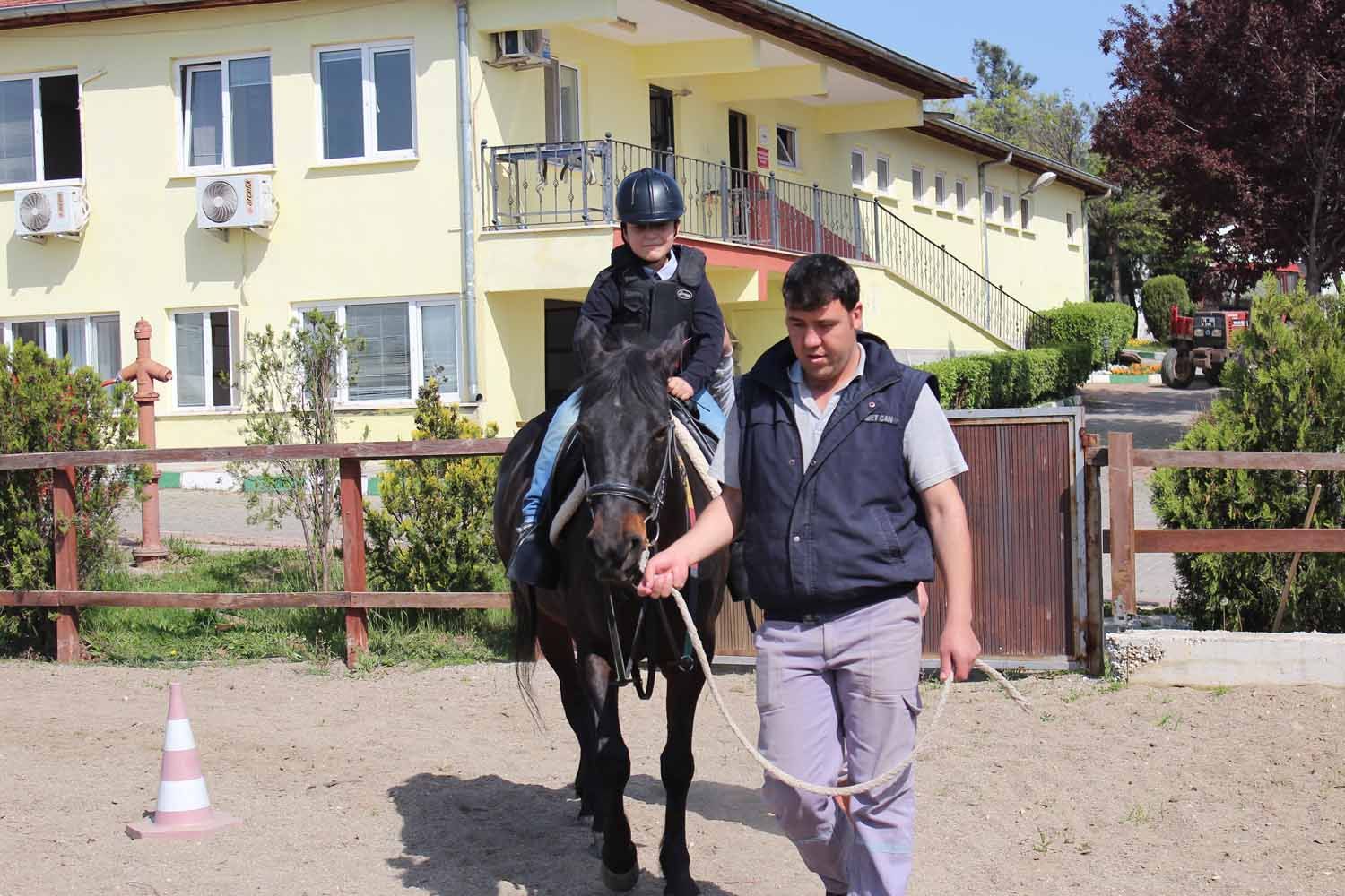 At Biniş Eğitimleri (2016) - 181
