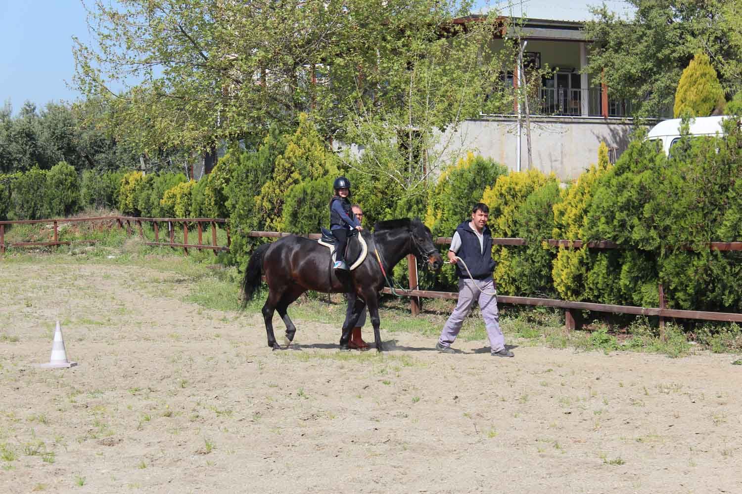 At Biniş Eğitimleri (2016) - 185