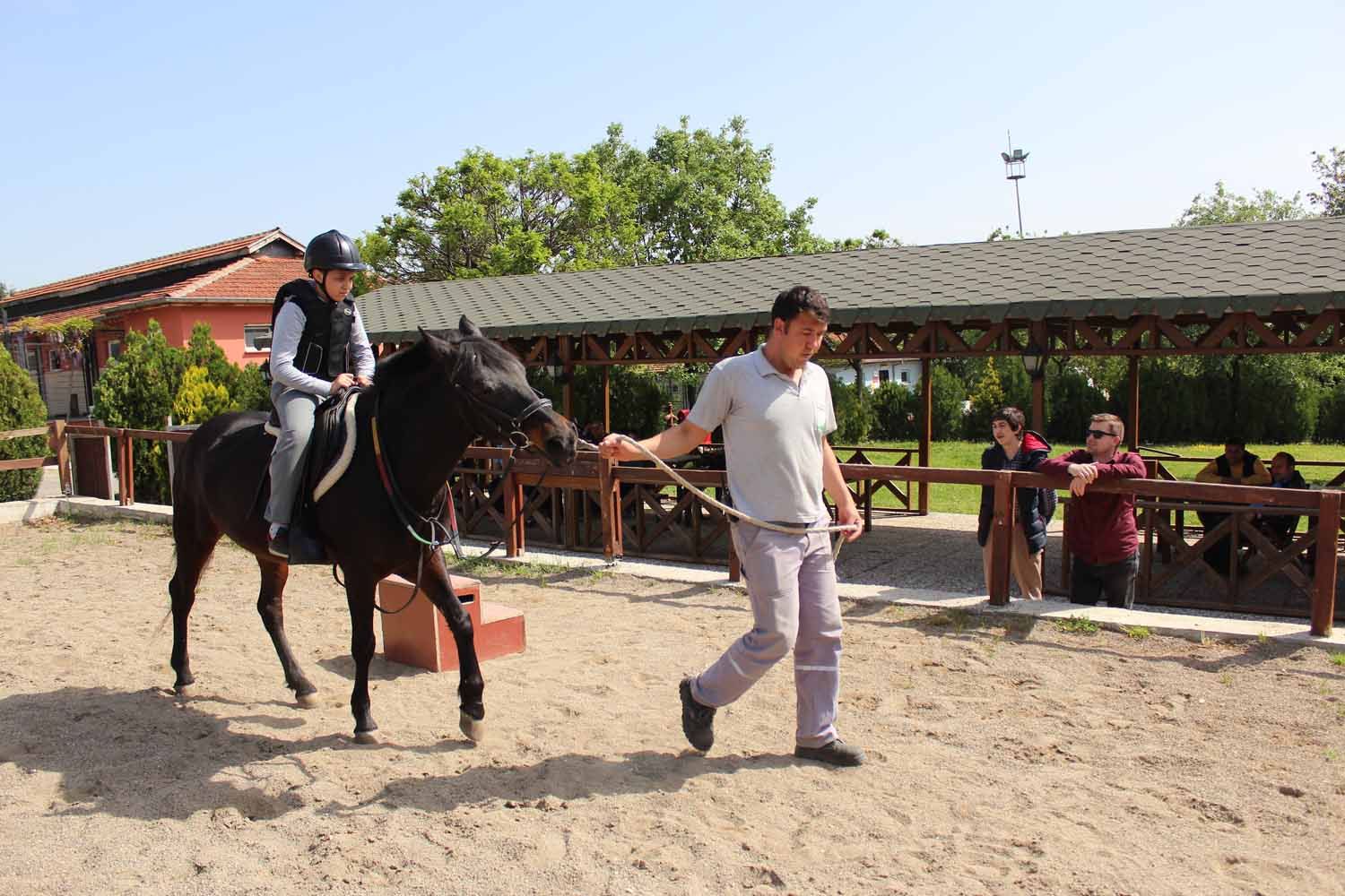 At Biniş Eğitimleri (2016) - 214