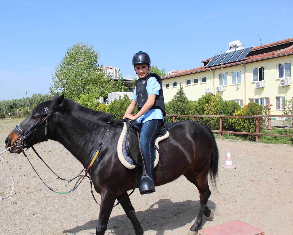 At Biniş Eğitimleri (2016) - 216
