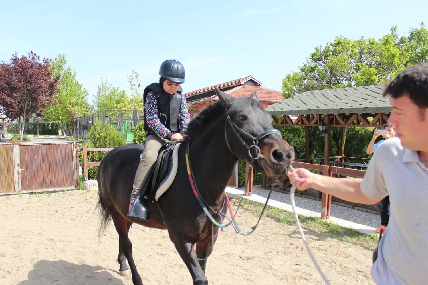 At Biniş Eğitimleri (2016) - 221