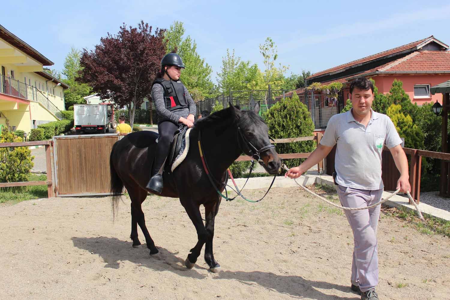 At Biniş Eğitimleri (2016) - 224