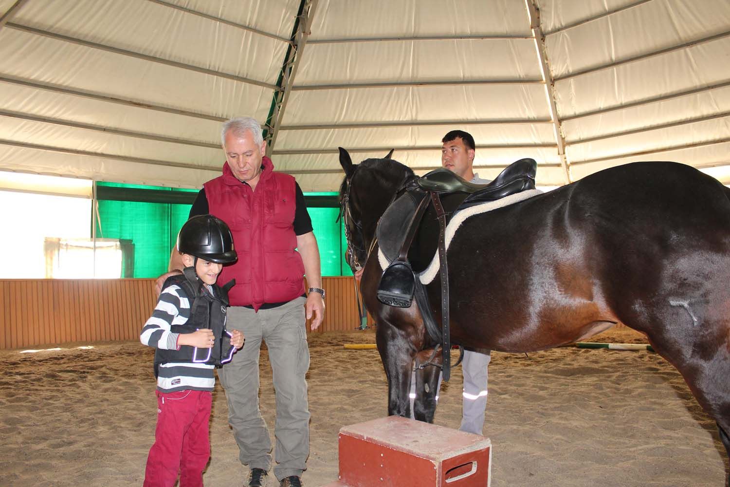 At Biniş Eğitimleri (2016) - 237