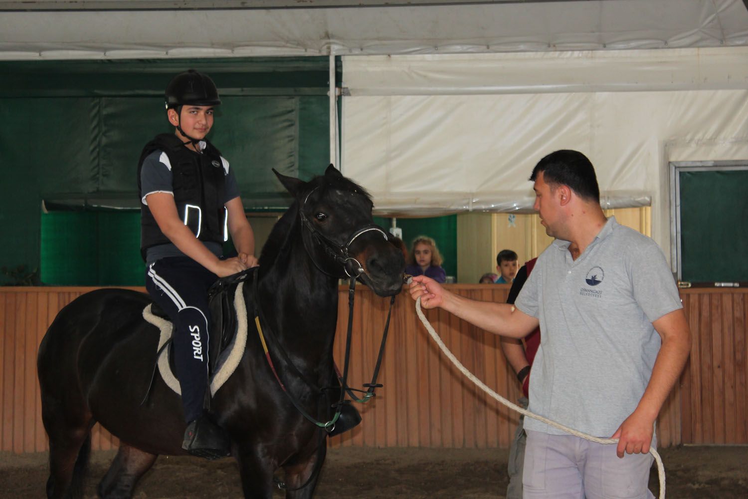 At Biniş Eğitimleri (2016) - 238