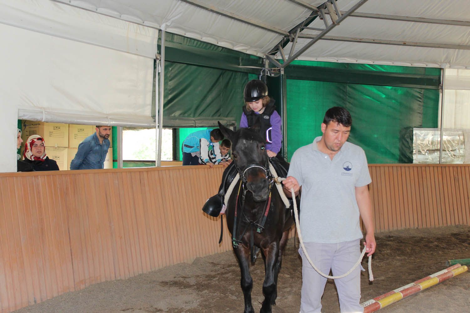 At Biniş Eğitimleri (2016) - 241