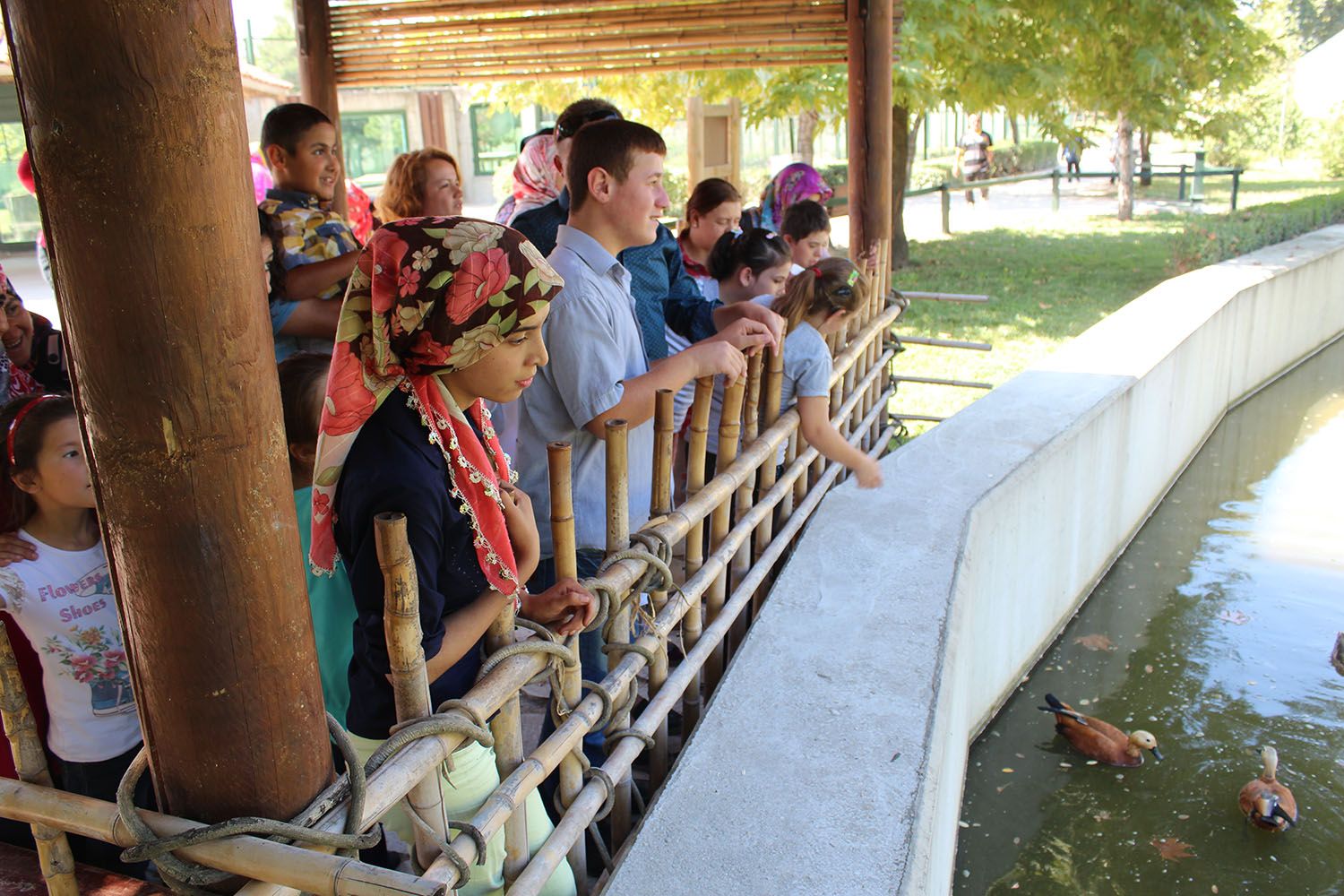 Hayvanat Bahçesi Gezisi (2015) - 8