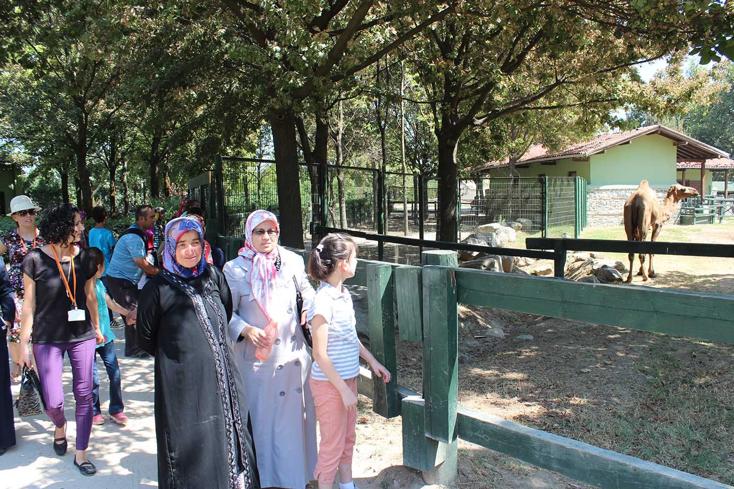 Hayvanat Bahçesi Gezisi (2015) - 25