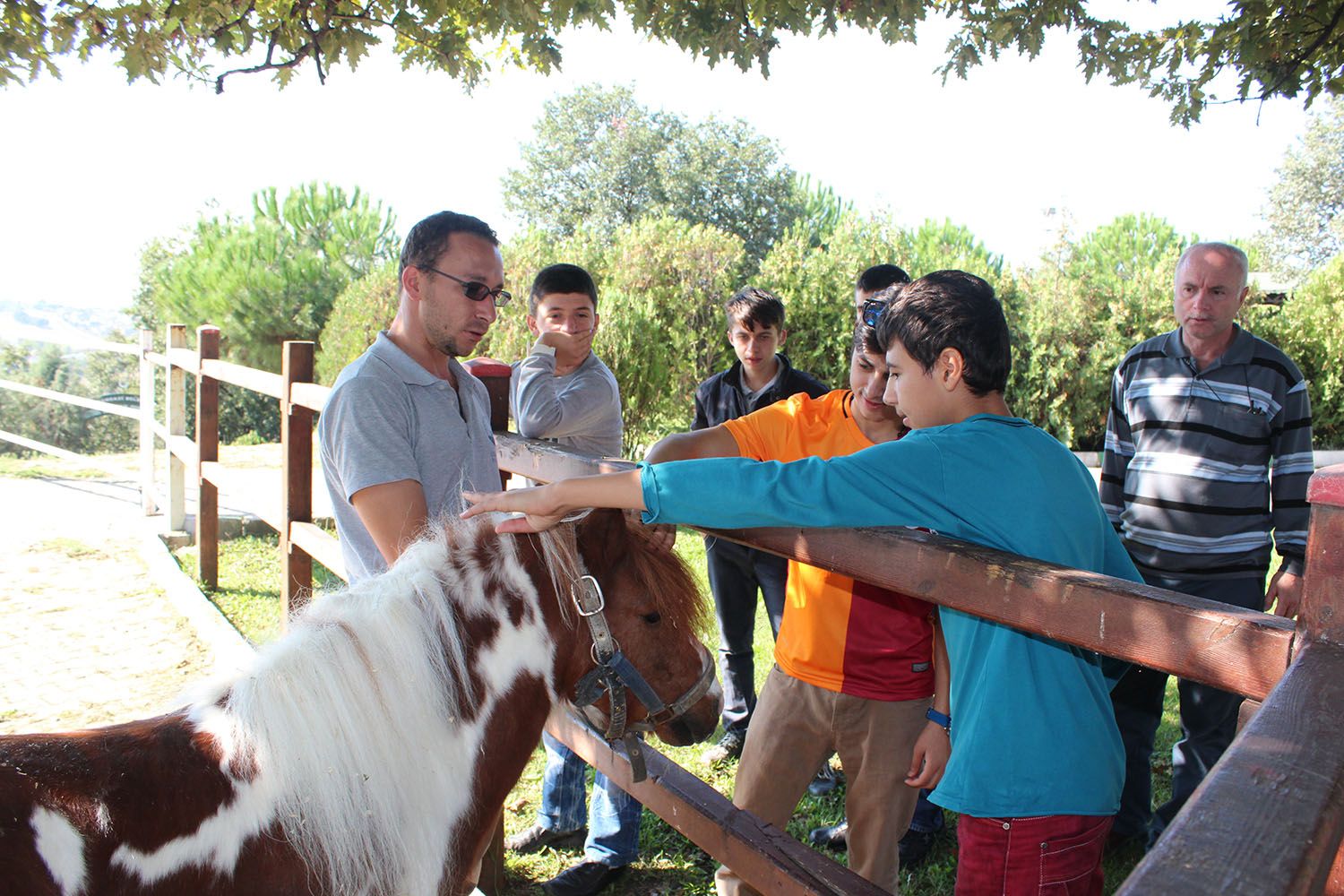 Hayvan Hakları Günü, Barınak Ziyareti (2015) - 19